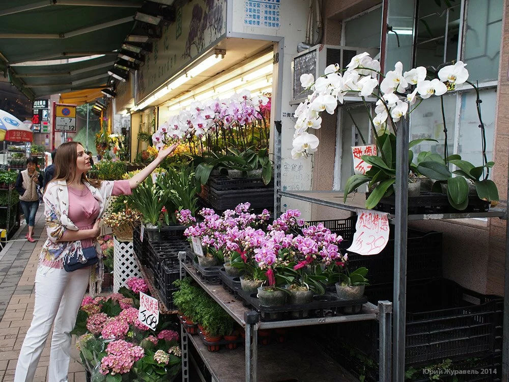 shopping in Hong Kong, шопинг в Гонконге, Flower Market, Цветочный рынок