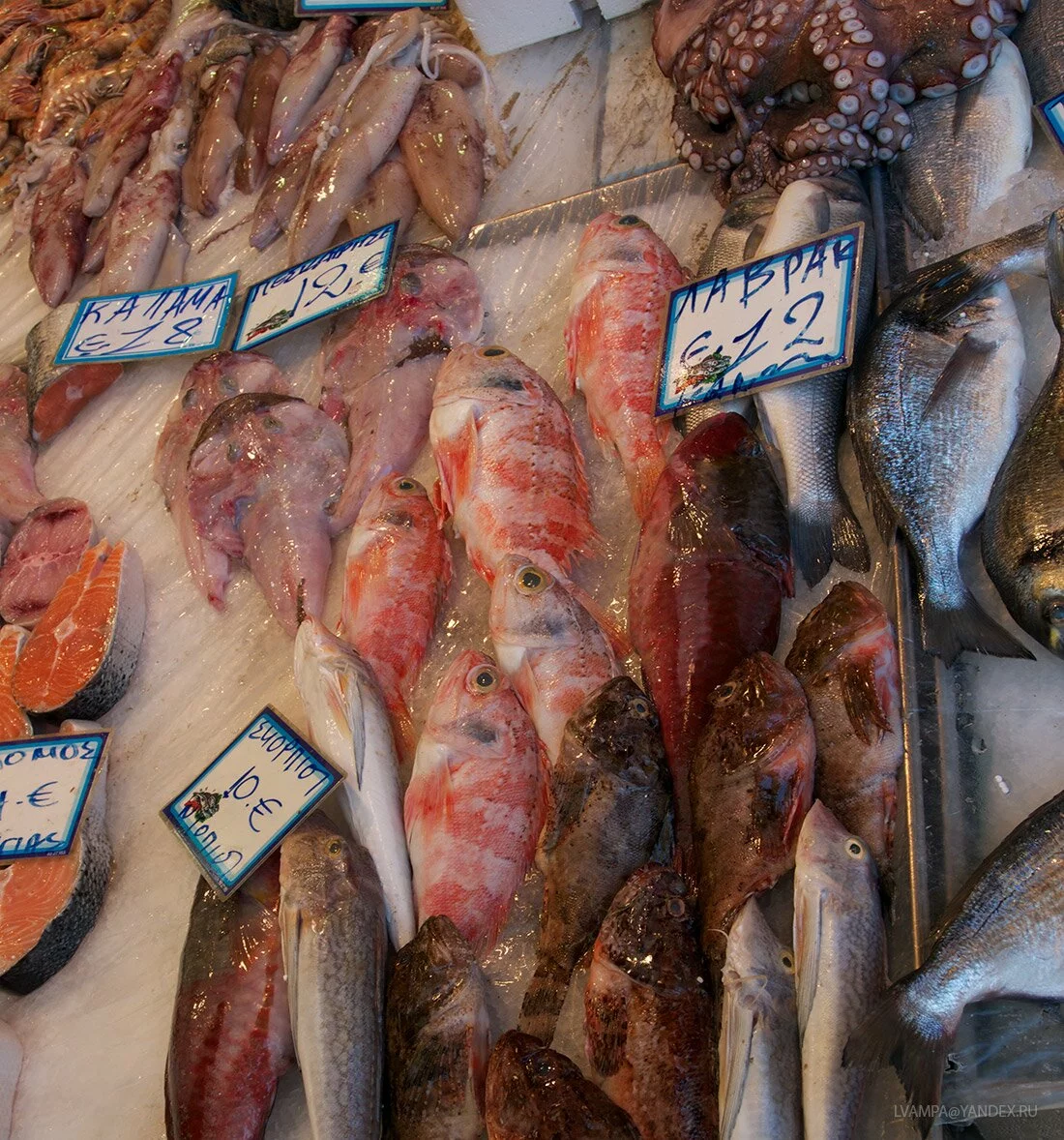 Рыба, морепродукты, рынок